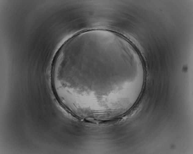 X0000102000941200808081657