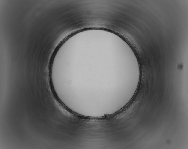 X0000102000942200808081657