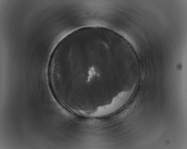 X0000102000943200808081657