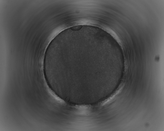 X0000102000946200808081657