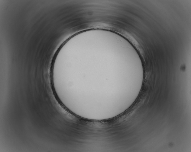 X0000102000947200808081657