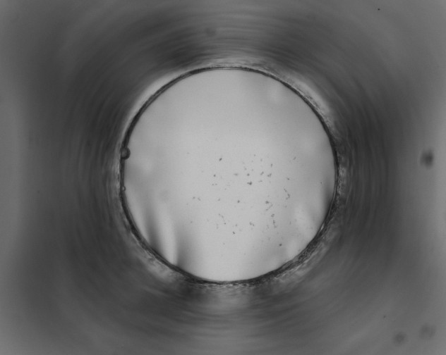 X0000102000948200808081657