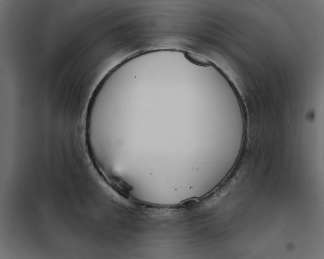 X0000102000949200808081657