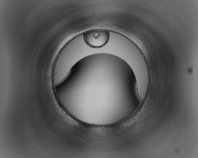 X0000102000950200808081657