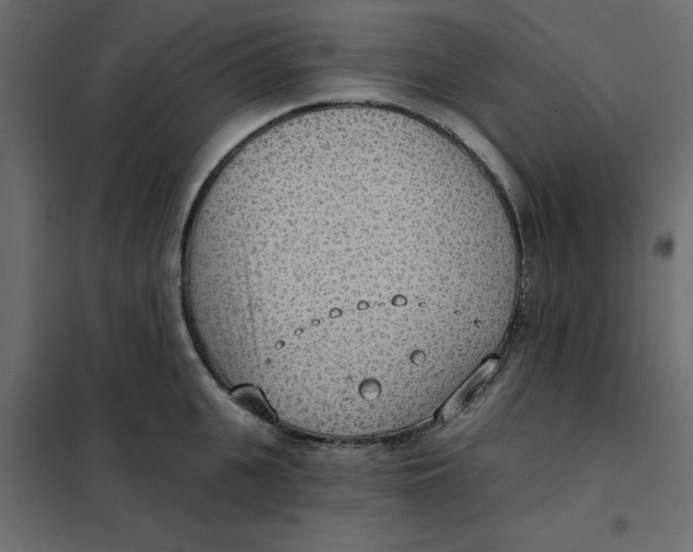 X0000102000951200808081657