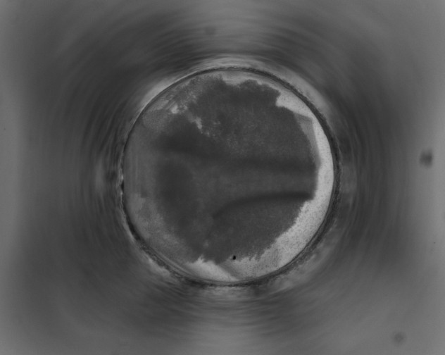 X0000102000953200808081657