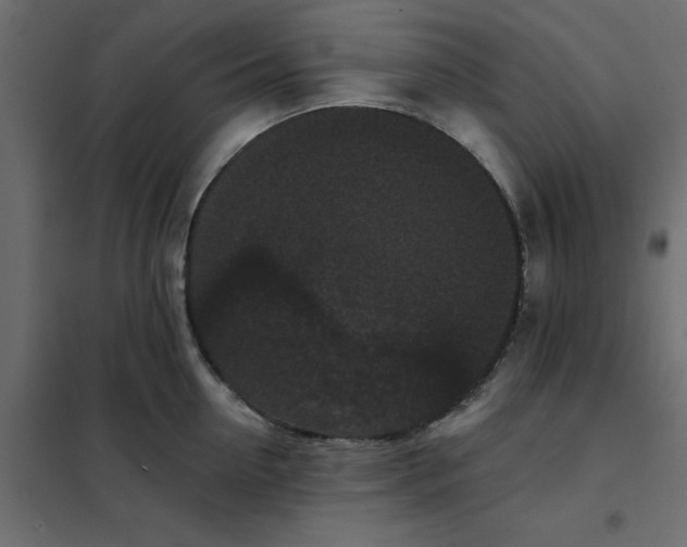 X0000102000954200808081657