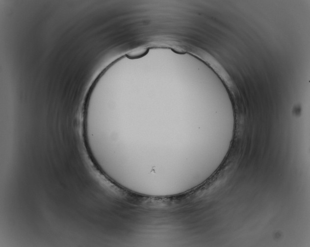 X0000102000955200808081657