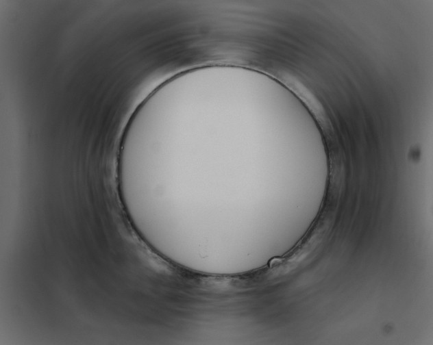 X0000102000956200808081657