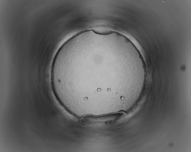 X0000102000957200808081657