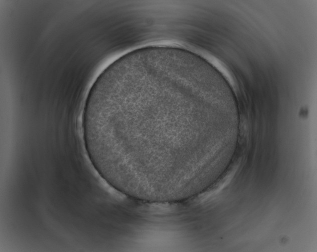 X0000102000959200808081657