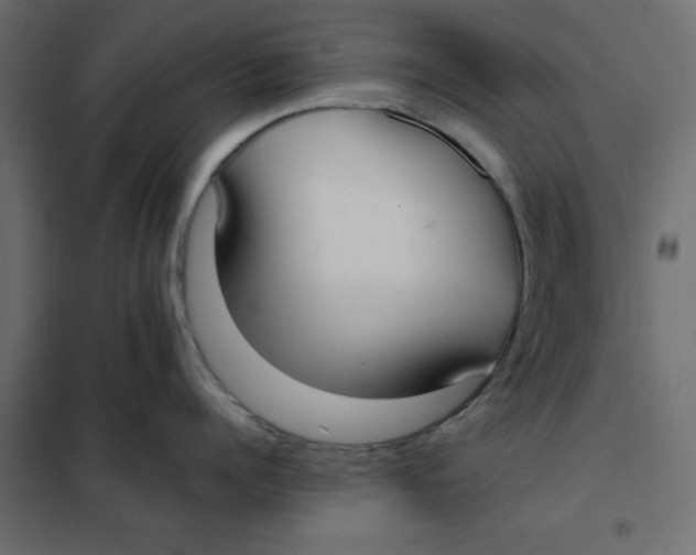 X0000102000960200808081657