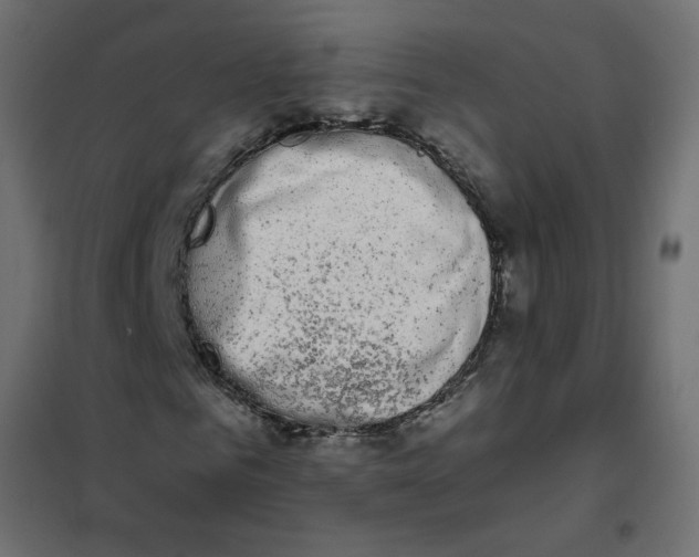 X0000102000961200808081656