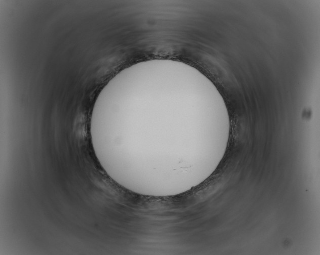 X0000102000962200808081656