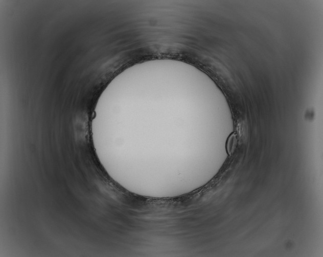 X0000102000963200808081656