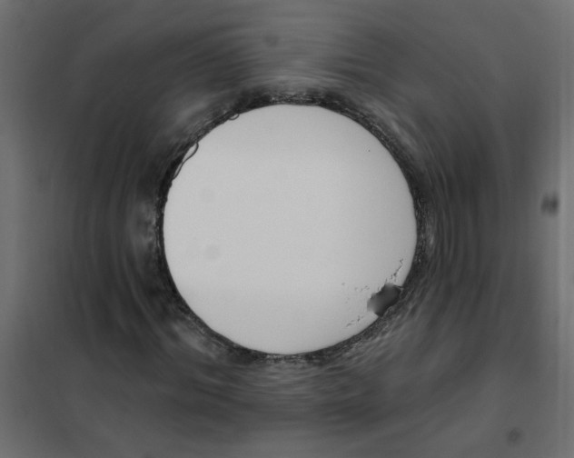 X0000102000964200808081656