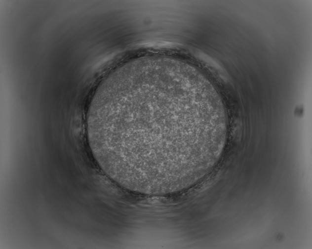 X0000102000966200808081656