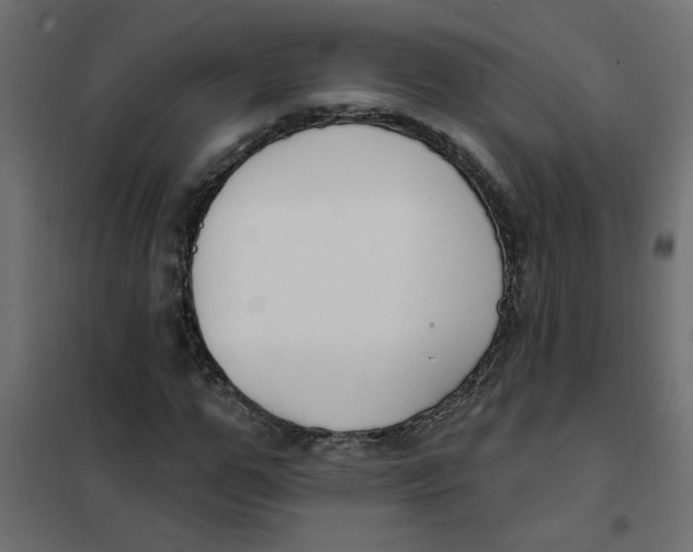 X0000102000967200808081656