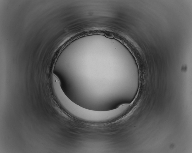 X0000102000969200808081656