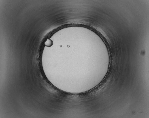 X0000102000971200808081656