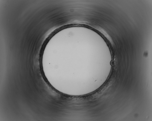 X0000102000972200808081656