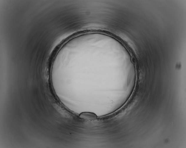 X0000102000973200808081656