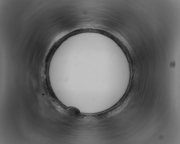 X0000102000974200808081656