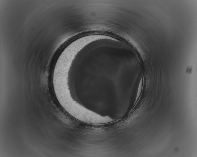 X0000102000975200808081656