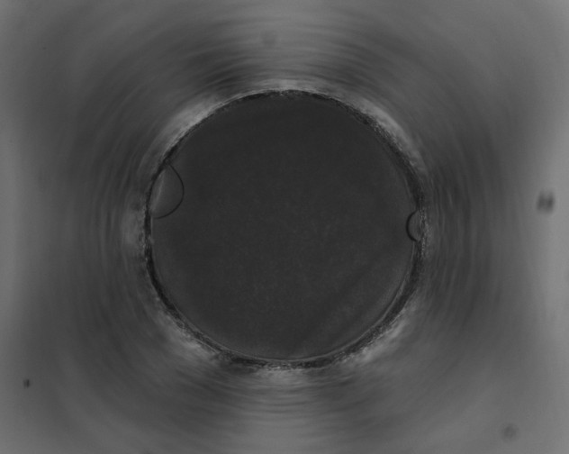 X0000102000977200808081656