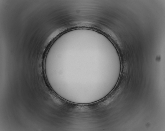 X0000102000978200808081656