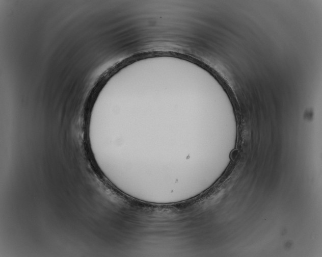 X0000102000979200808081656