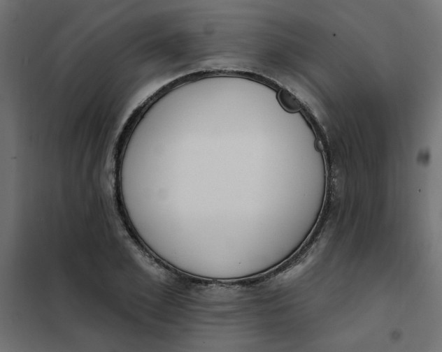 X0000102000981200808081656