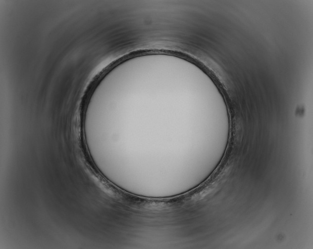 X0000102000982200808081656