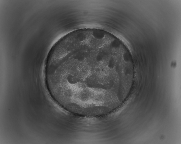 X0000102000983200808081656