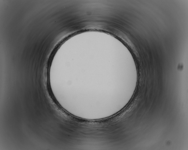 X0000102000984200808081656