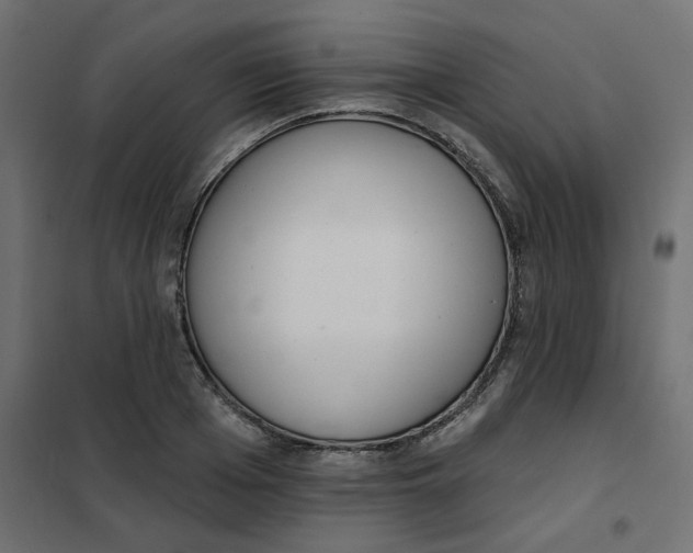 X0000102000985200808081656