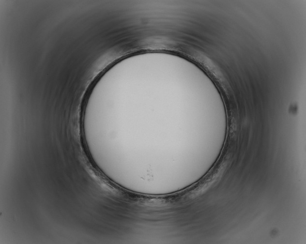 X0000102000986200808081656