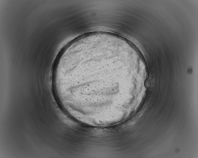 X0000102000987200808081656