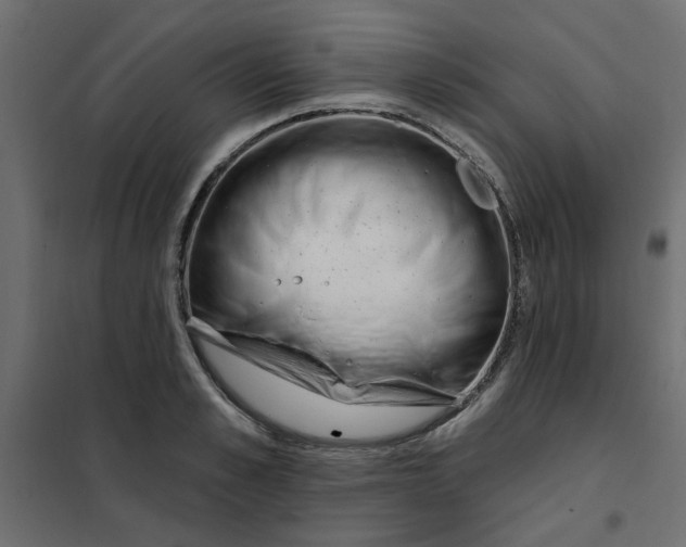 X0000102000989200808081656