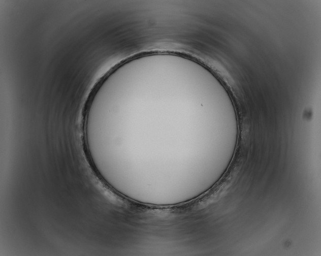 X0000102000990200808081656