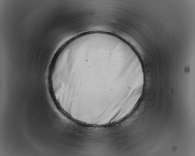 X0000102000991200808081656