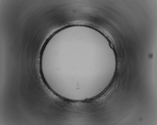 X0000102000992200808081656