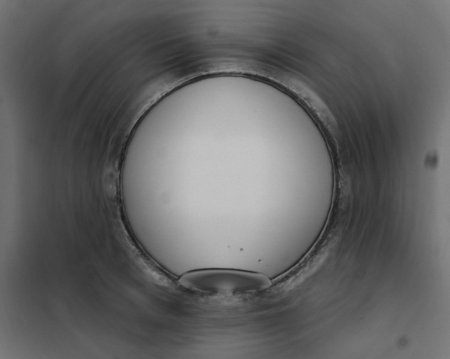 X0000102000993200808081656