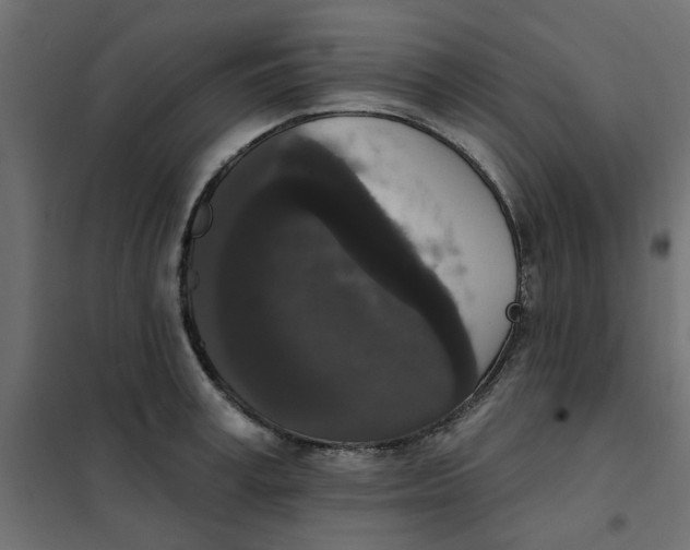 X0000102000995200808081656