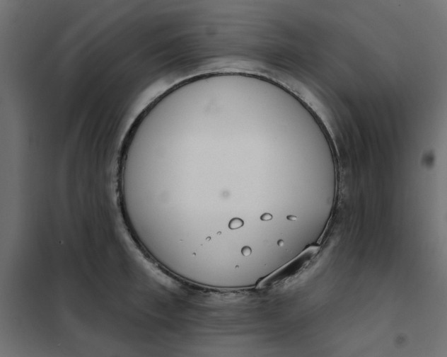 X0000102000997200808081656