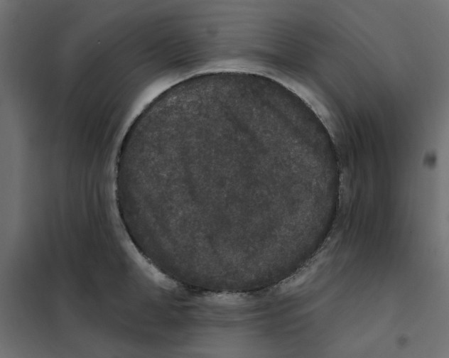 X0000102000998200808081656