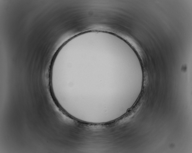 X0000102000999200808081656