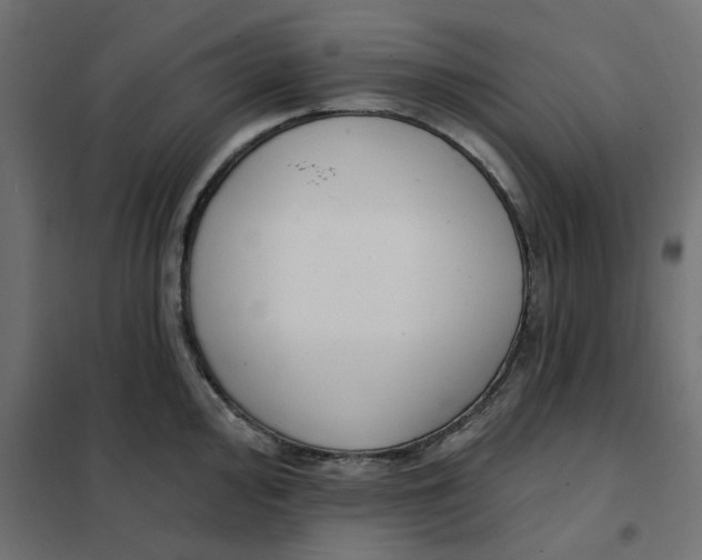 X0000102001000200808081656