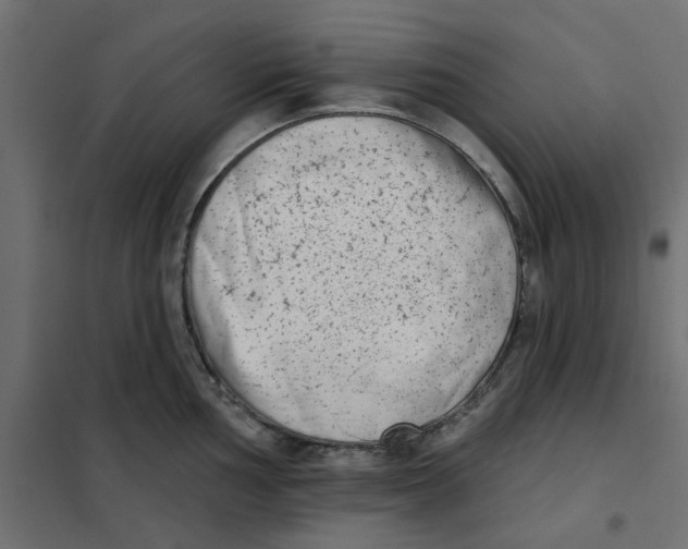 X0000102001002200808081656