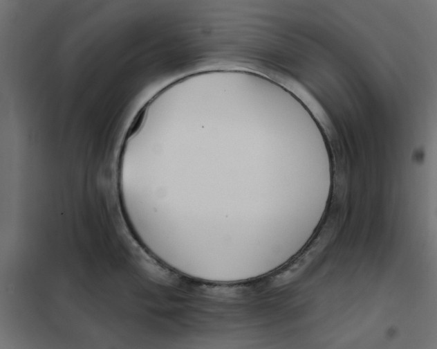 X0000102001004200808081656